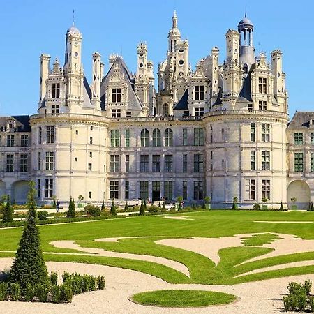 Git'Albert A 10 Minute Du Chateau Royale De Chambord Mont-près-Chambord Dış mekan fotoğraf